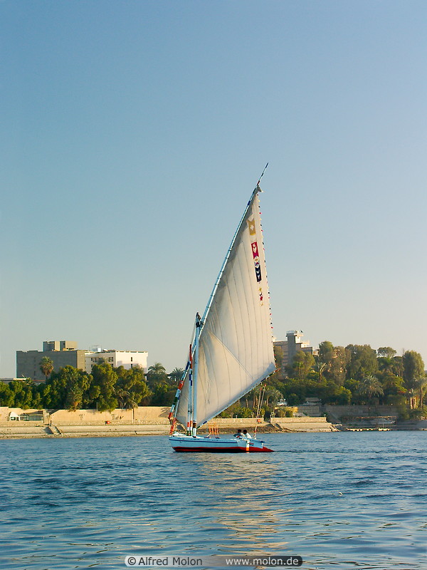 07 Felucca on the Nile