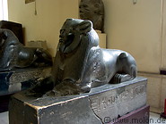 11 Sphinx
