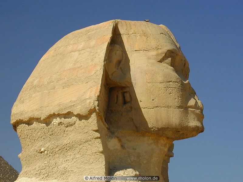 29 Head of the Sphinx