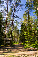 04 Forest trail near Oandu