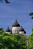 16 Alexander Nevski cathedral