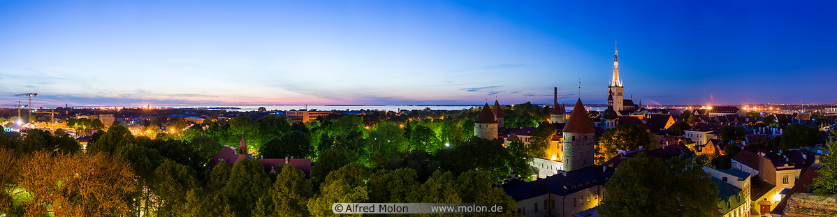 10 Tallinn skyline at night