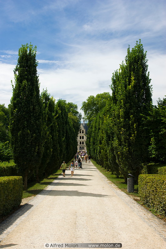 01 Tree lined path to castle