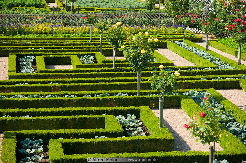 20 Hedges in vegetable garden