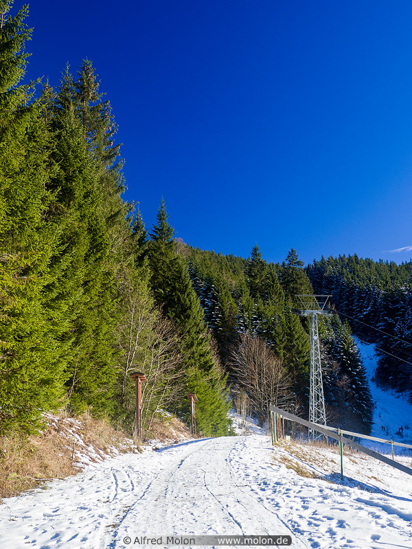 08 Path to Taubenstein in winter