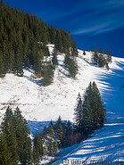 12 Mountain slope below Taubenstein station
