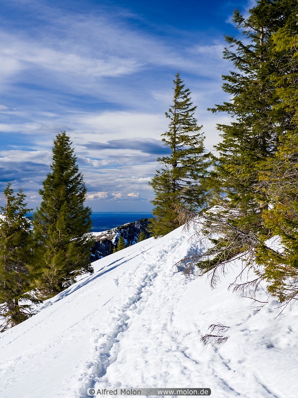 17 Trail across the snow