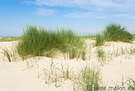 45 Dune landscape