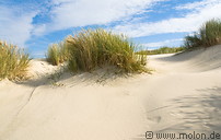 47 Dune landscape