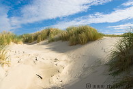 50 Dune landscape