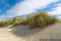 51 Dune landscape