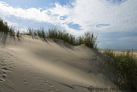 52 Dune landscape