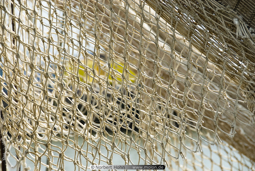 10 Fishing net