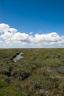 17 Salt marsh near Paddingbuttel