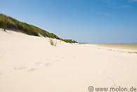 12 Dune landscape