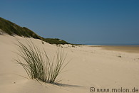 13 Dune landscape