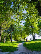 16 Tihany park with trees