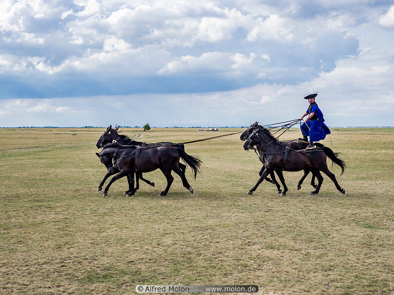17 Hungarian horsemen show