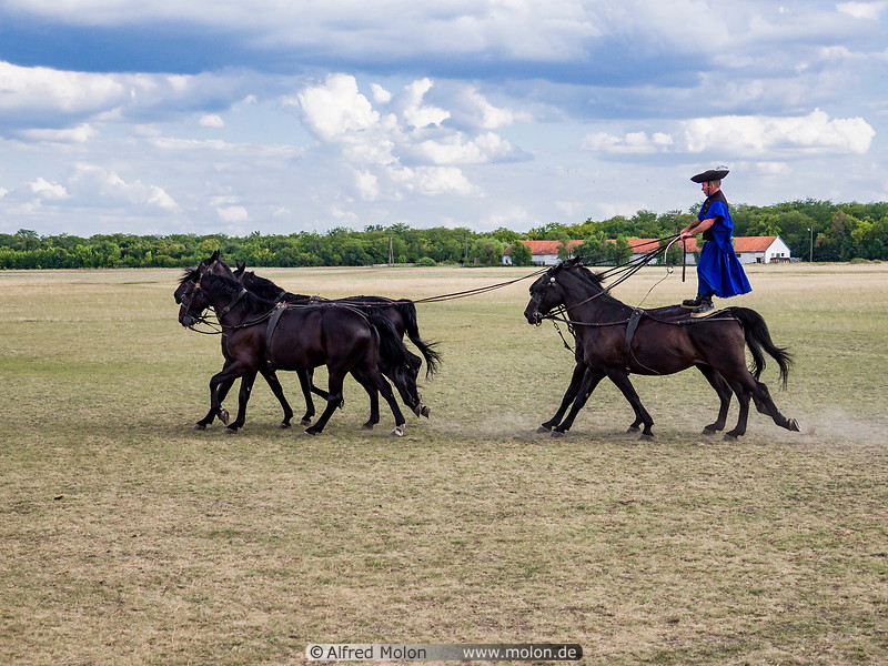 18 Hungarian horsemen show