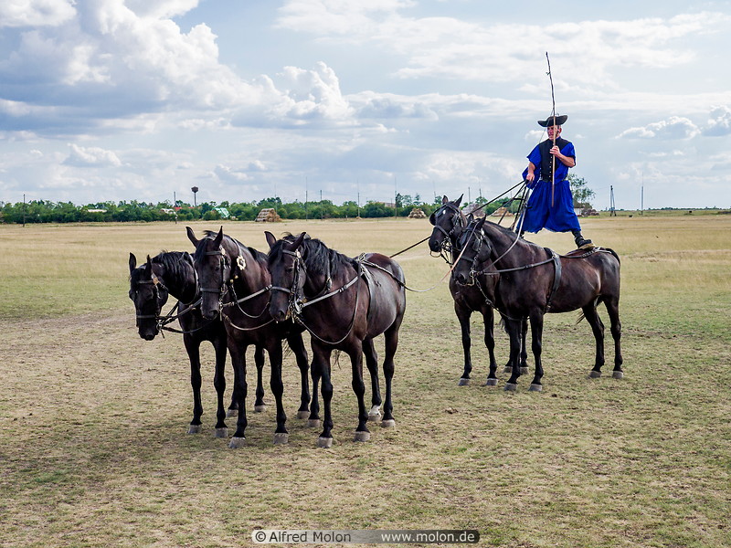 19 Hungarian horsemen standing on horses
