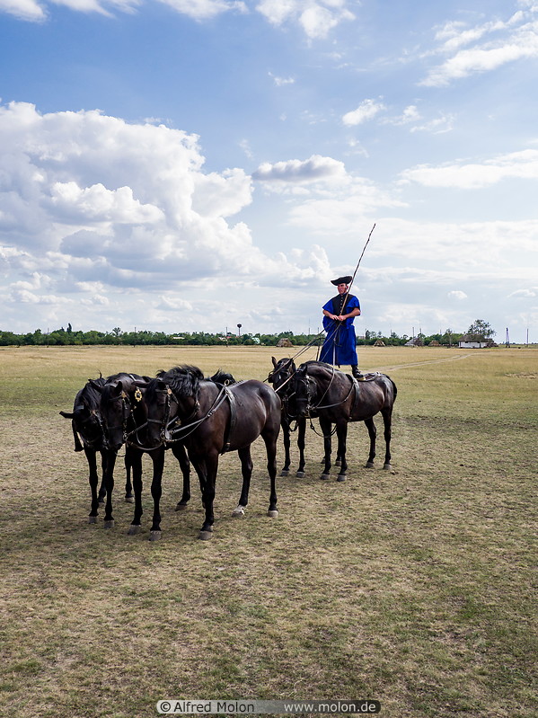 20 Hungarian horsemen standing on horses