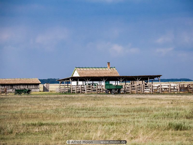 26 Farm in Hortobagy national park