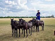 21 Hungarian csikos standing on horses