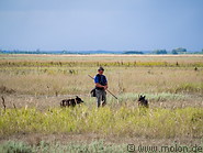 43 Herdsman with dogs