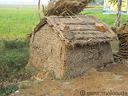 09 Heap of dried cow dung called kandas