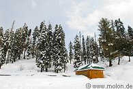 Gulmarg hill station photo gallery  - 13 pictures of Gulmarg hill station