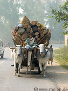 05 Ox cart with wood