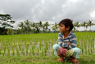 20 Balinese child at paddy field
