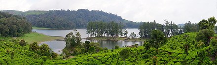 22 Situ Patenggang lake