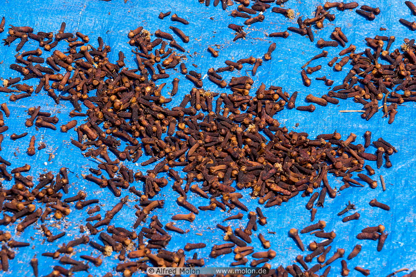 16 Cloves drying in the sun