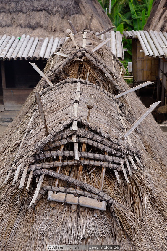 13 Thatch roof
