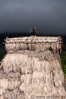 06 High thatch roof