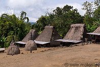 02 High thatch-roofed houses