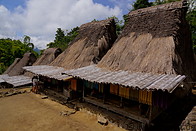 04 High thatch-roofed houses