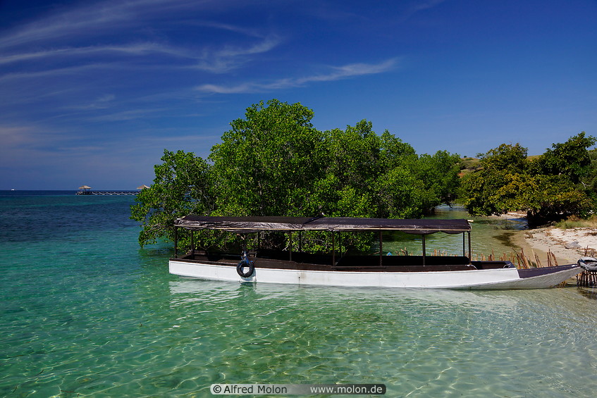 16 Boat and mangroves