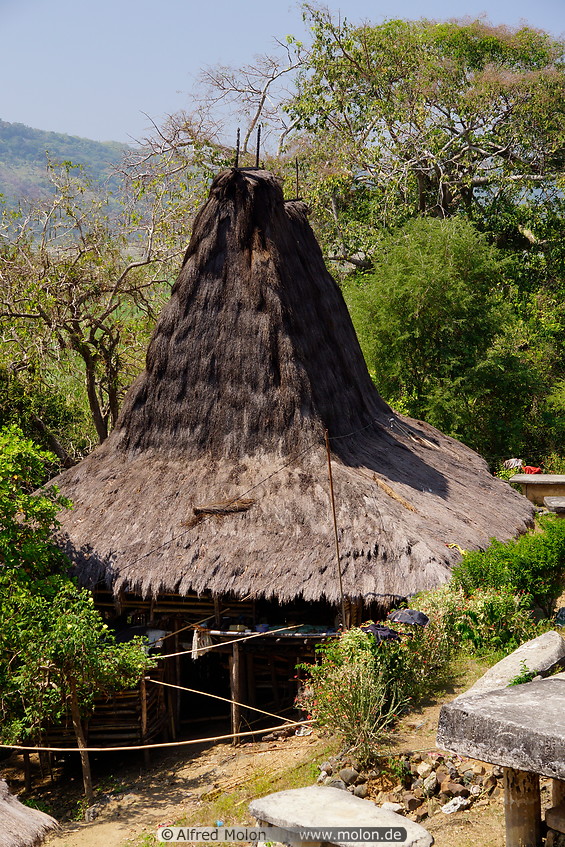 05 Thatched roof house