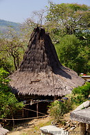 05 Thatched roof house