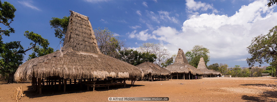 06 Thatched roof houses