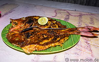 18 Grilled fish