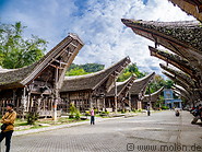 10 Tongkonan traditional ancestral houses