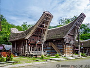 12 Tongkonan traditional ancestral houses