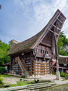 15 Tongkonan traditional ancestral houses