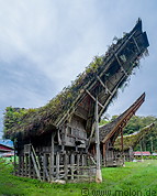 02 Tongkonan traditional ancestral houses