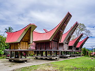 23 Tongkonan traditional ancestral houses