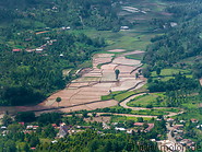02 Rice fields