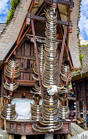09 Tongkonan facade with bull horns